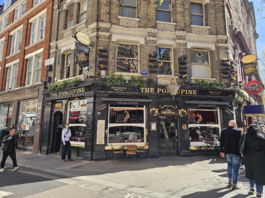 The Porcupine, photo 4