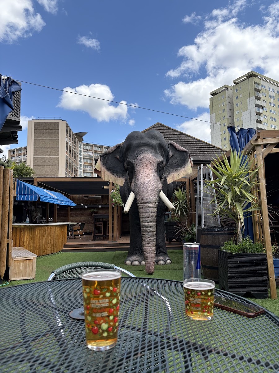 Elephant and Barrel, photo 3