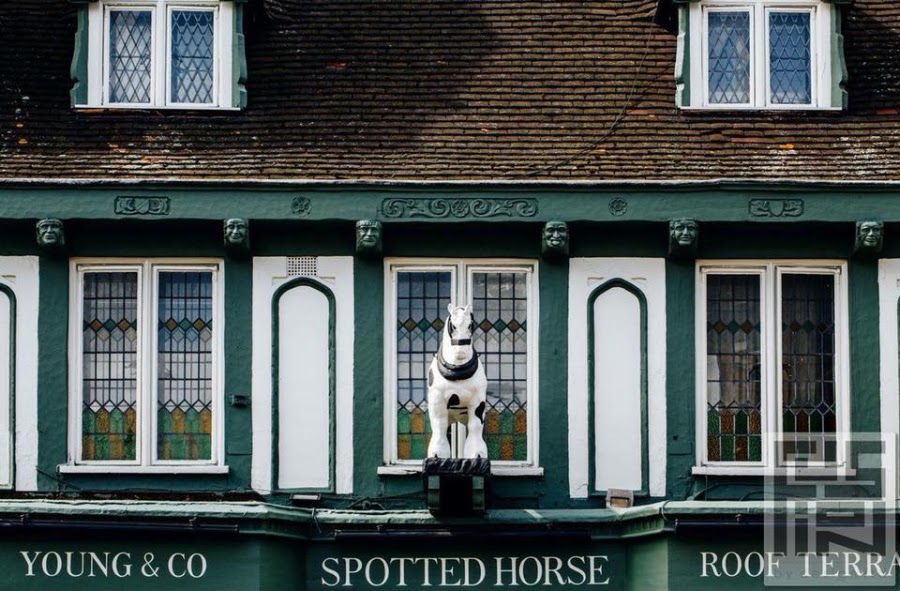Spotted Horse, photo 3