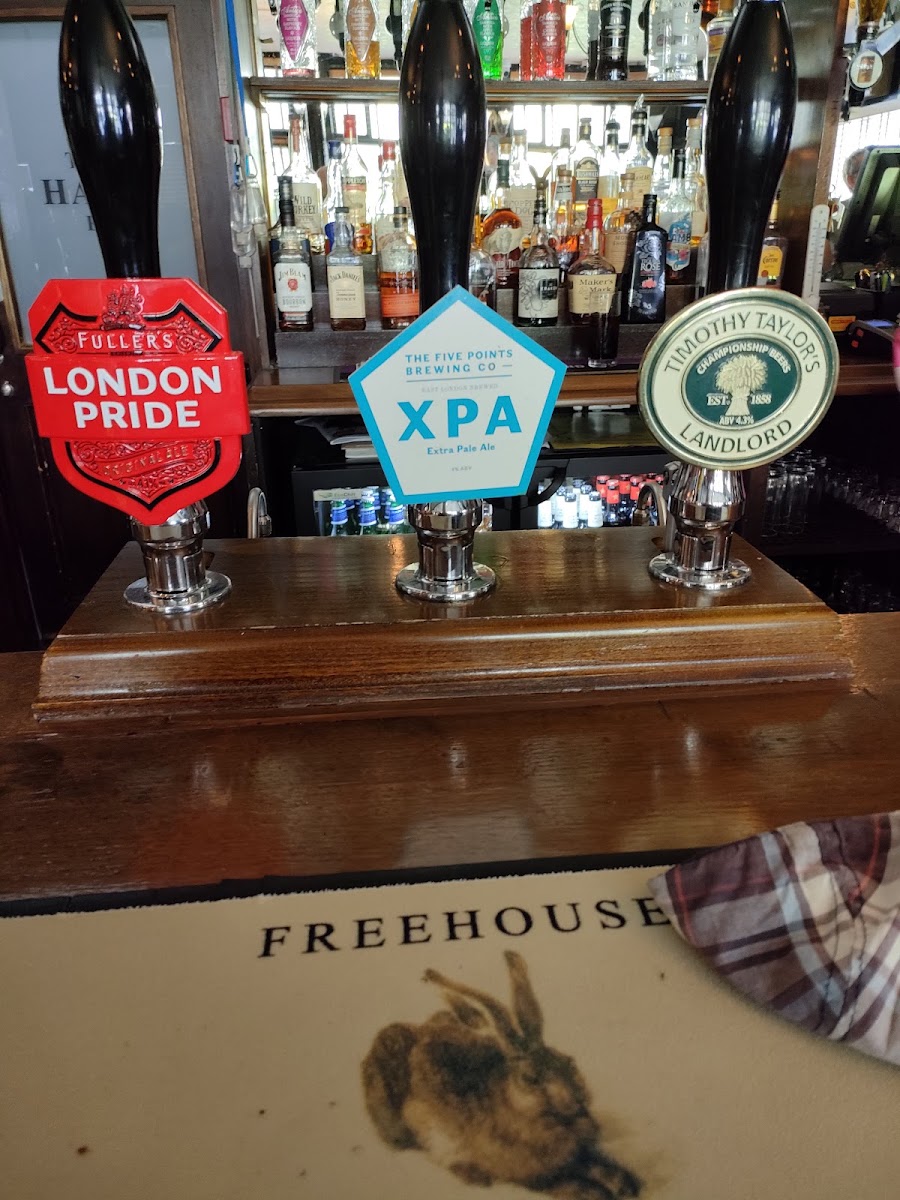 The Hare, photo 2