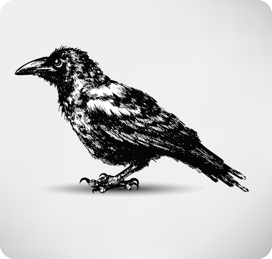 The Raven, photo 4