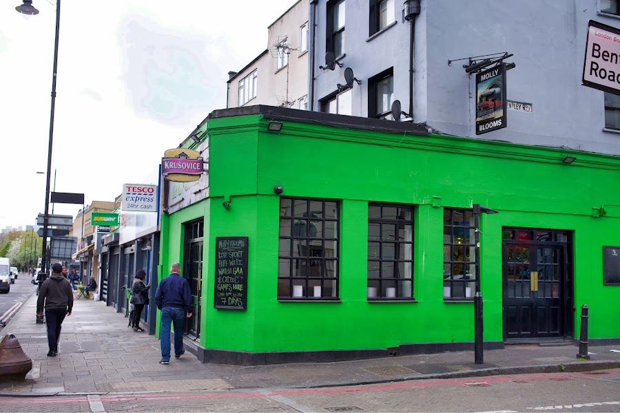 Molly Blooms, photo 5