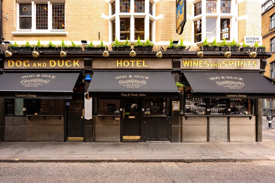 The Dog And Duck, photo 2