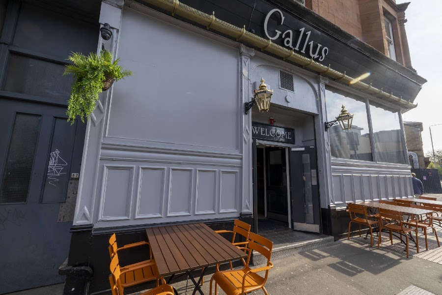Gallus, photo 4