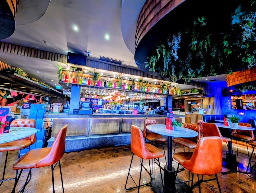 The Social, photo 2