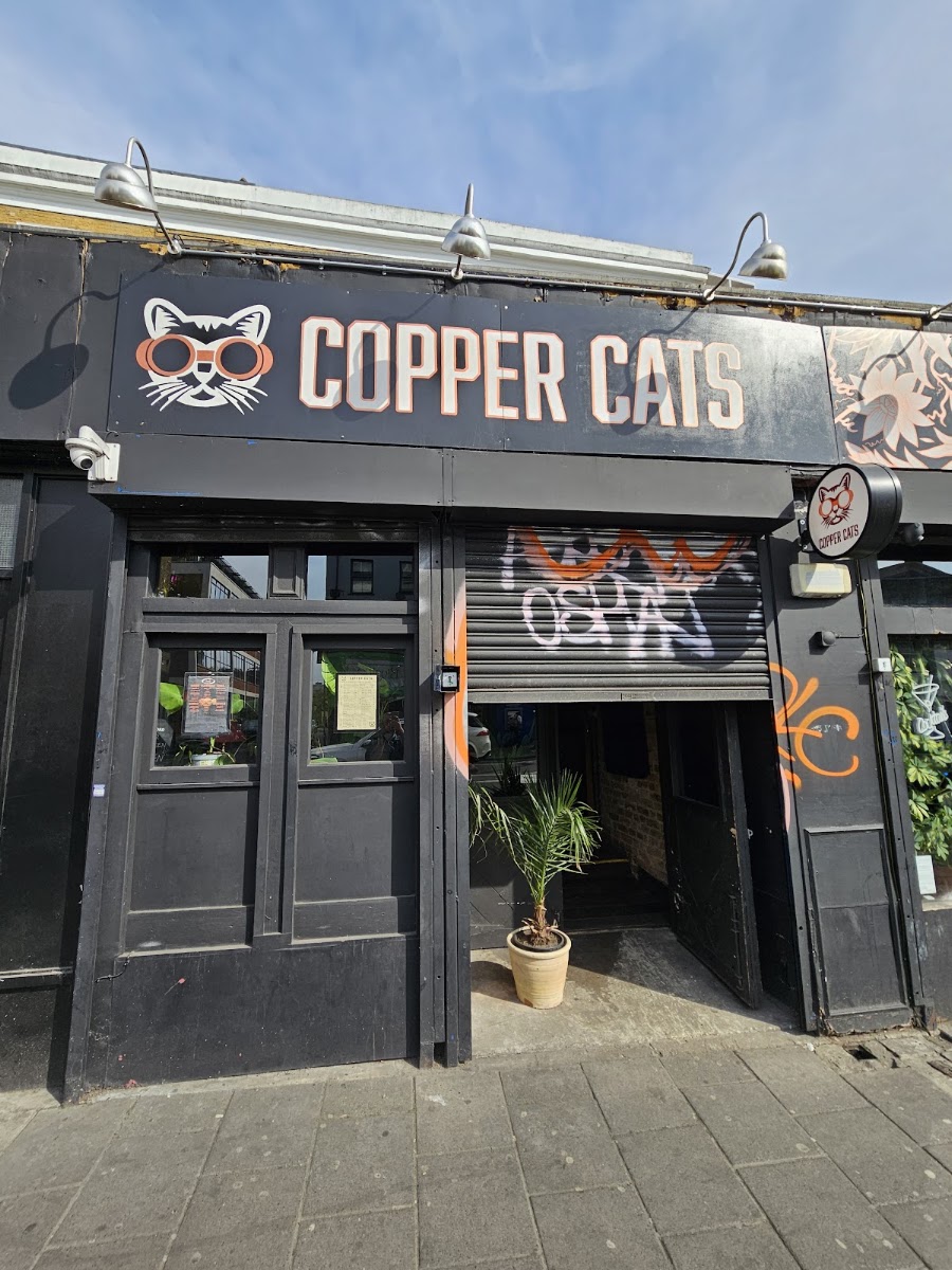 Copper Cats, photo 5