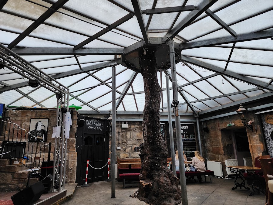 Clutha & Victoria Bar, photo 4