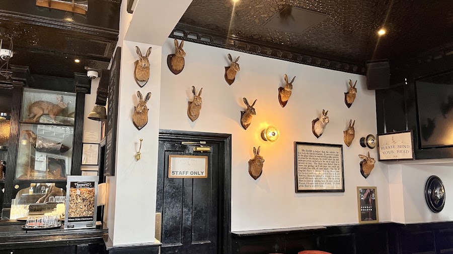 Jugged Hare, photo 5