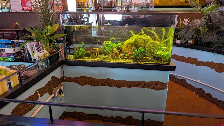The Variety Bar, photo 5