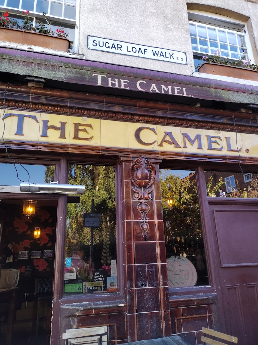 The Camel, photo 3